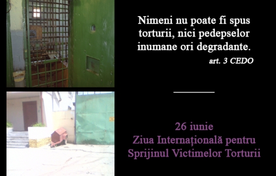 Documentarea, investigarea cauzelor de tortură și reabilitarea victimelor: Carențe și soluții