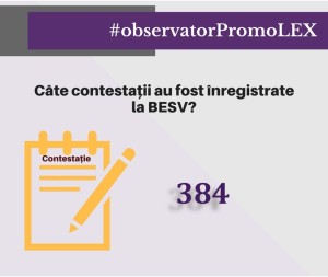 prezentare 2 (13)