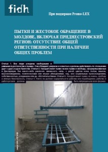 tortura fidh 2013_ru