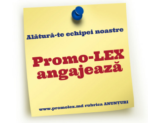Promo-LEX angajează