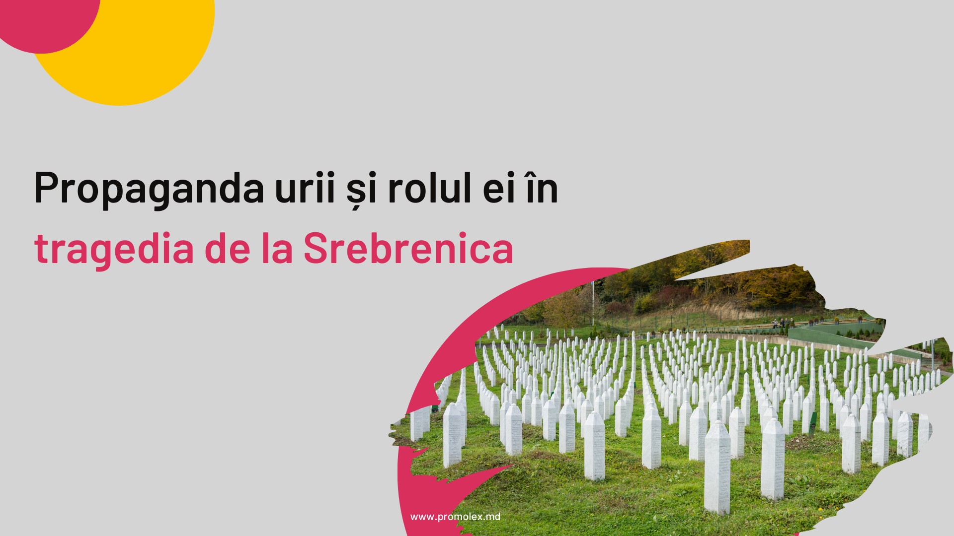 Propaganda urii și rolul ei în tragedia de la Srebrenica